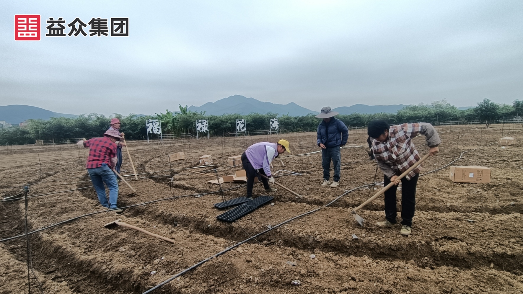 福祿花海-3_副本 福祿花海-3_副本